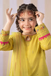 3 Piece Embroidered Lawn Suit