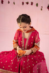 3 Piece Embroidered Chiffon Suit