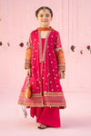 3 Piece Embroidered Chiffon Suit