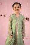 3 Piece Embroidered Zari Line Organza Suit