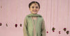 3 Piece Embroidered Zari Line Organza Suit