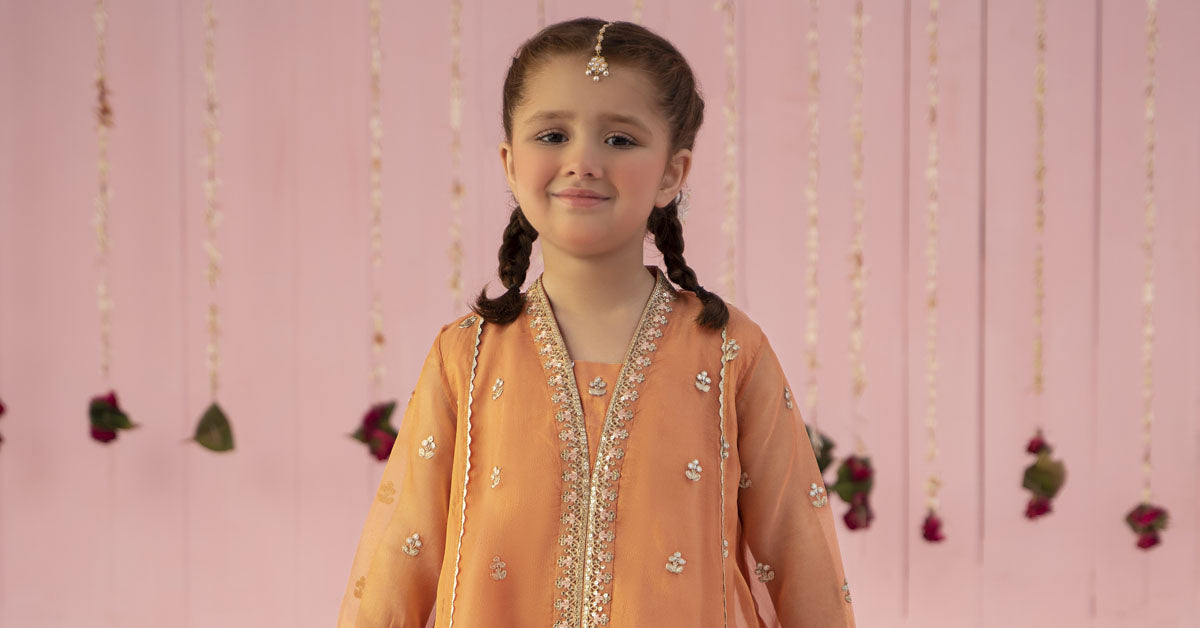 3 Piece Embroidered Zari Line Organza Suit