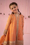 3 Piece Embroidered Zari Line Organza Suit