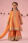 3 Piece Embroidered Zari Line Organza Suit