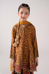 3 Piece Embroidered Raw Silk Suit