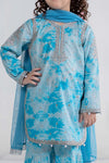 3 Piece Printed Lawn Suit