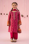 3 Piece Embroidered Yarn Dyed Suit