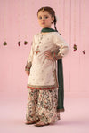 3 Piece Embroidered Dobby Suit