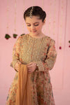3 Piece Masoori Net Suit