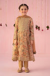 3 Piece Masoori Net Suit