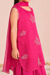 3 Piece Embroidered Organza Suit