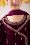 3 Piece Embroidered Velvet Suit