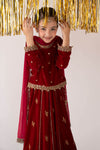 3 Piece Embroidered Velvet Suit