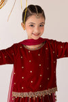 3 Piece Embroidered Velvet Suit