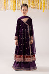 3 Piece Embroidered Velvet Suit