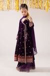 3 Piece Embroidered Velvet Suit
