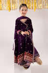 3 Piece Embroidered Velvet Suit