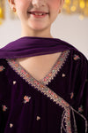 3 Piece Embroidered Velvet Suit