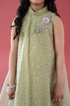 3 Piece Embroidered Poly Organza Suit