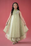 3 Piece Embroidered Poly Organza Suit