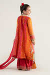 3 Piece Embroidered Poly Organza Suit