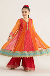 3 Piece Embroidered Poly Organza Suit