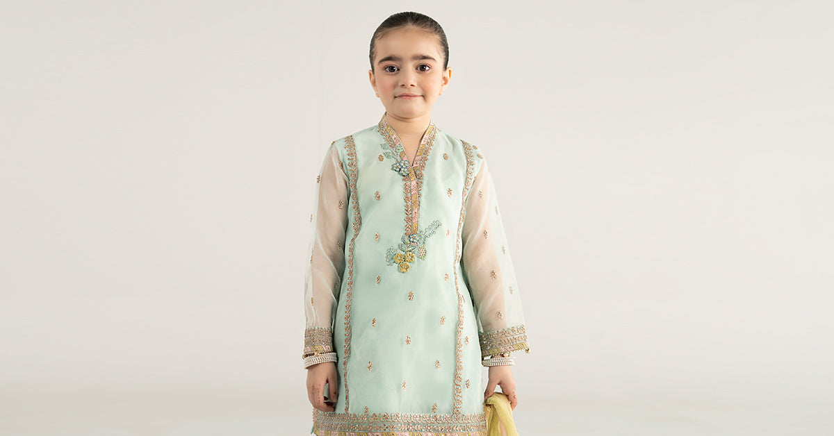 3 Piece Embroidered Poly Organza Suit