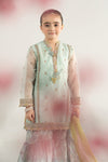 3 Piece Embroidered Poly Organza Suit