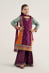 3 Piece Embroidered Poly Organza Suit