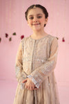 3 Piece Embroidered Net Suit