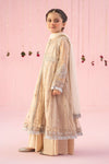3 Piece Embroidered Net Suit