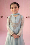 3 Piece Embroidered Organza Suit
