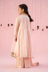3 Piece Embroidered Organza Suit
