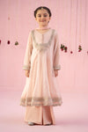 3 Piece Embroidered Organza Suit