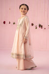3 Piece Embroidered Organza Suit