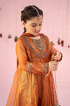 3 Piece Embroidered Organza Suit