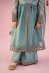 3 Piece Embroidered Organza Suit