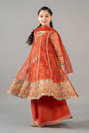 3 Piece Embroidered Poly Organza Suit