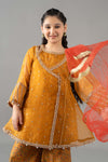 3 Piece Embroidered Poly Organza Suit