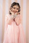 3 Piece Embroidered Organza Suit