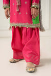 3 Piece Embroidered Polyester Net Suit