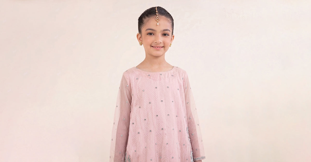 2 Piece Embroidered Organza Suit