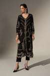 2 Piece Embroidered Tissue Silk Suit