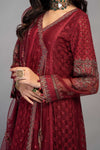 3 Piece Embroidered Chiffon Suit