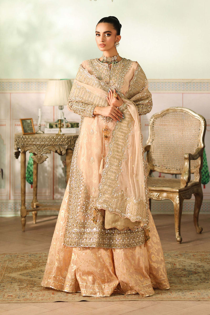 3 Piece Embroidered Net Suit All Products SFF2566-ESM-PCH