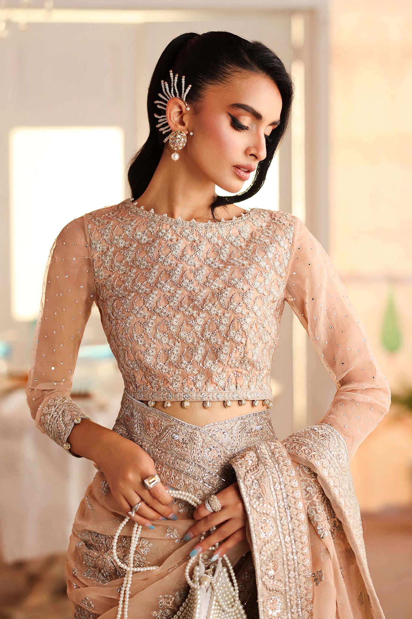 Embroidered Organza Saree