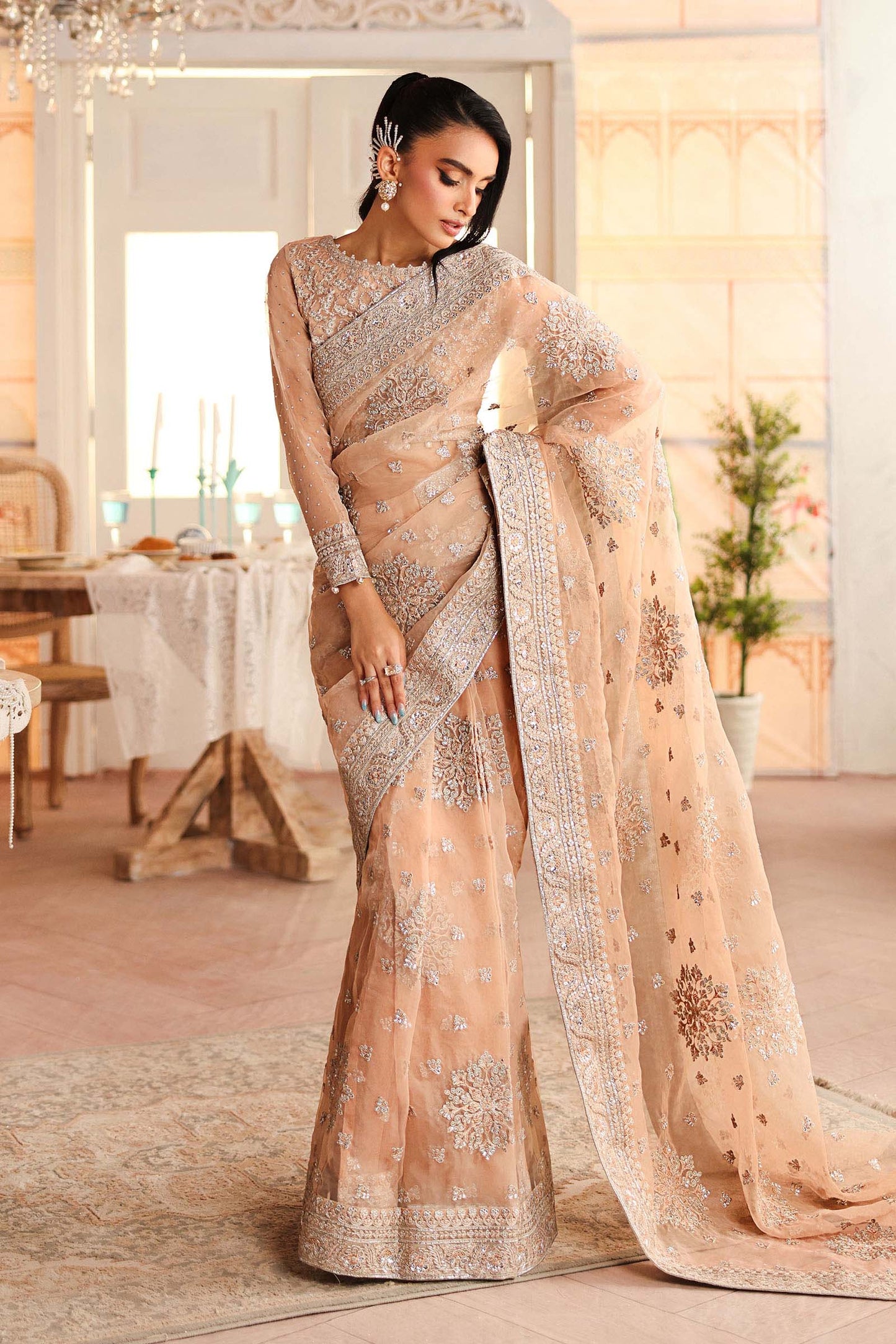 Embroidered Organza Saree