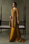 3 Piece Embroidered Net Suit
