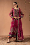 3 Piece Embroidered Net Suit