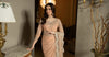 Embroidered Chiffon Saree